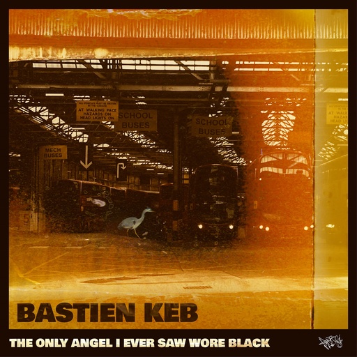 [DFPRROM21-LP] Bastien Keb  The Only Angel I Ever Saw Wore Black