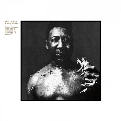 [GET54042-LP] Muddy Waters 	After The Rain