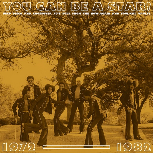 [NA5284-LP] You Can Be A Star! : Deep Disco & Crossover 70s Soul From The Now-Again & Soul-Cal Vaults 1972-1982