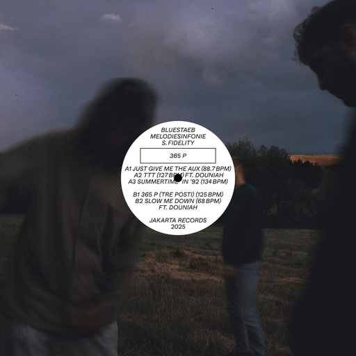 [JAKA193-LP] Bluestaeb, Melodiesinfonie & S. Fidelity, 365 P