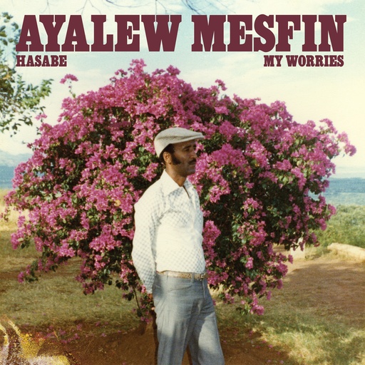 [VAMPI 333] Ayalew Mesfin, Hasabe – My Worries