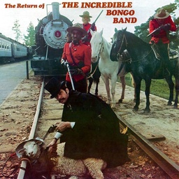 [MRBLP119] Incredible Bongo Band, Return Of The Incredible Bongo Band (Deluxe 40th Anniversary Edition)