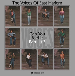[DYNAM7107] Voices of East Harlem, Can You Feel It - Part 1/2