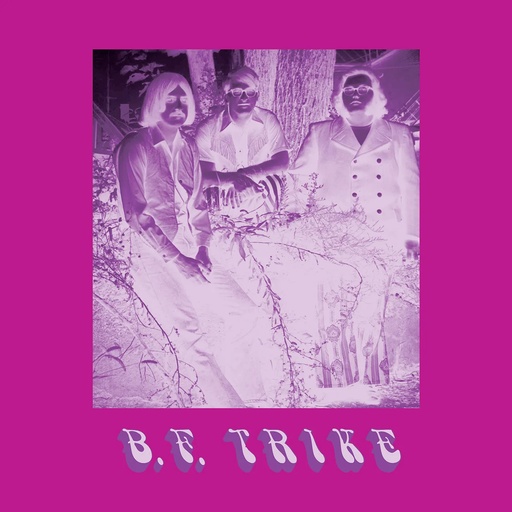 [GUESSCD073] B. F. Trike (CD)