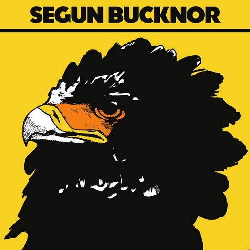 [PMG090LP] Segun Bucknor