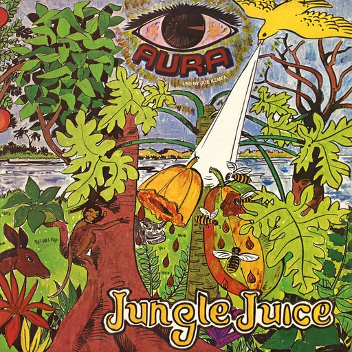 [PMG042LP] Joe Kemfa, Jungle Juice