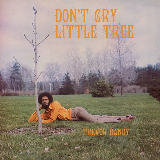 [PMG017LP] Trevor Dandy, Don't Cry Little Tree